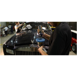 Chemical Guys Black Light Glaze Polish Hybrid Radiant Finish - Siyah ve Koyu Renk Araçlarda Tek Adımda Mükemmel Parlaklık ve Koruma 473 ml